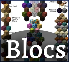 Les blocs